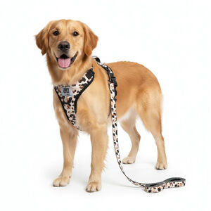 Juicy Couture NWT Leopard Print Dog Harness & Leash Set Large